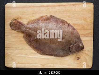 Une sole de citron cru, non cuite, Microstomus kitt, qui a été attrapée dans la Manche présentée sur une planche à découper en bois avant la cuisson. Dorset anglais Banque D'Images