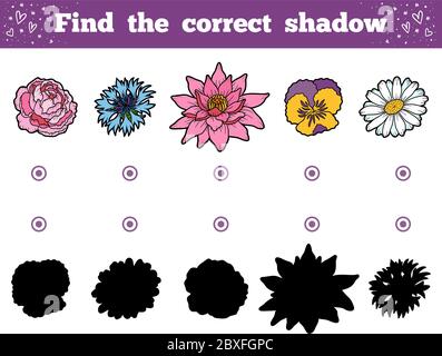 Trouvez l'ombre correcte, jeu d'éducation pour les enfants. Ensemble de fleurs Illustration de Vecteur