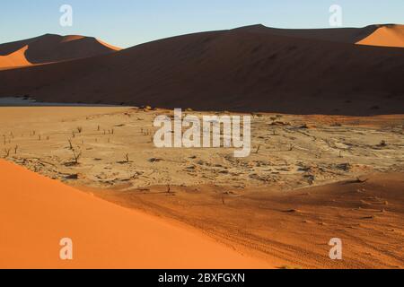 Les dunes de sable les plus hautes du monde au coucher du soleil dans le désert du Namib, dans le parc national Namib-Nacluft en Namibie. Sossusvlei Banque D'Images