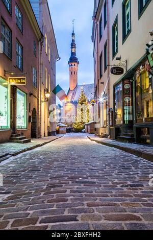 TALLINN, ESTONIE - 4 JANVIER 2017 : Raekoja Plats, place de l'ancien hôtel de ville de Tallinn le matin pendant la période de fête. Décorations de Noël, marke Banque D'Images