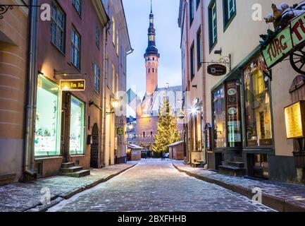 TALLINN, ESTONIE - 4 JANVIER 2017 : Raekoja Plats, place de l'ancien hôtel de ville de Tallinn le matin pendant la période de fête. Décorations de Noël, marke Banque D'Images