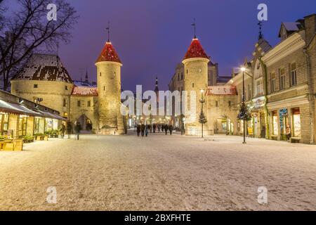 TALLINN, ESTONIE - 4 JANVIER 2017 : vue sur la vieille ville de Tallinn la nuit en hiver. Viru Gate Towers, la tour de l'Hôtel de ville de Tallinn et Peop Banque D'Images