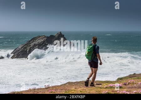 Un marcheur regardant des vagues sauvages s'écraser au-dessus de Goose Island au large de la côte de Pentire point East à Newquay, en Cornwall. Banque D'Images