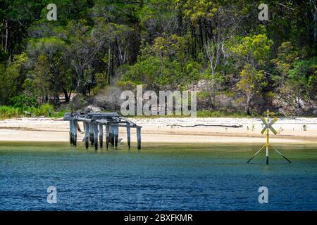 Les vestiges de la jetée de chargement de bois de MacKenzies Landing, North White Cliffs, Fraser Island, Queensland Australie Banque D'Images