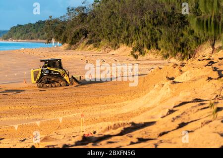 Machines entreprenant la restauration de plage et le contrôle de l'érosion. Scarness Beach Hervey Bay Banque D'Images