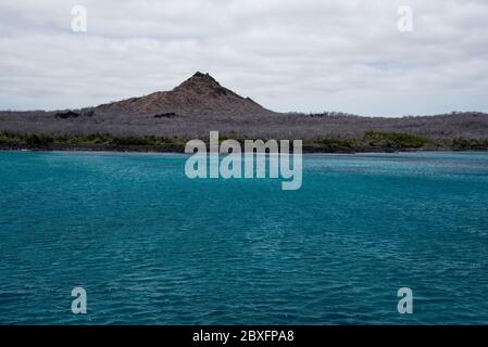 Palo santo arbres le long de la côte de Dragon Hill sur Santa Cruz aux îles Galapagos. Banque D'Images