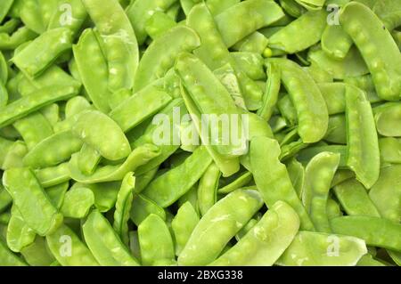 Les pois de sucre sont nutritifs, riches en calcium, en bêta-carotène, en phosphore, en vitamines, en minéraux et en protéines que les légumes Banque D'Images