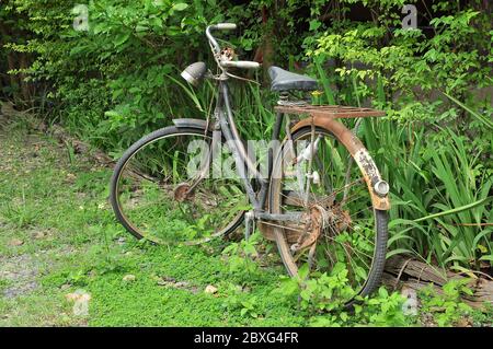 Vieux vélos rouillés garés dans le jardin. Banque D'Images