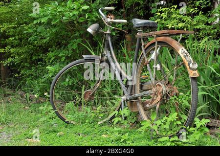 Vieux vélos rouillés garés dans le jardin. Banque D'Images