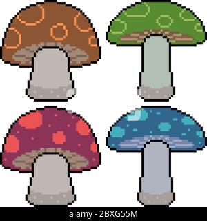 ensemble d'art vectoriel de pixels, champignon isolé Illustration de Vecteur