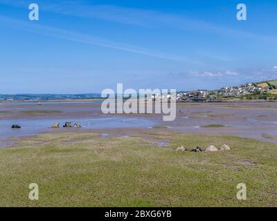 Estuaire de Torridge et de Taw. Vue sur le paysage vers Appledore depuis Northam Burrows, Devon, Royaume-Uni. Banque D'Images