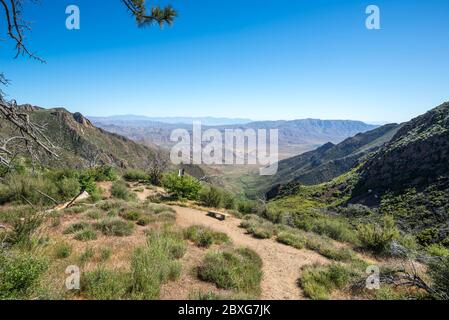 Paysage naturel depuis la vue de Storm Canyon. Mount Laguna, San Diego County, Californie, États-Unis. Banque D'Images