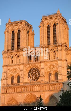 Paris, France - 14 septembre 2019 : façade de la cathédrale notre-Dame de Paris au coucher du soleil. La célèbre cathédrale est en reconstruction après le feu d'avril 15 Banque D'Images