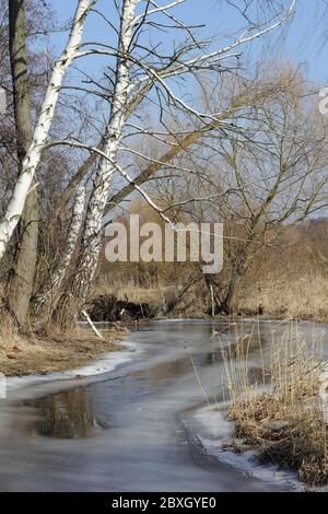 Forêt riveraine de Lübars à Berlin en hiver Banque D'Images