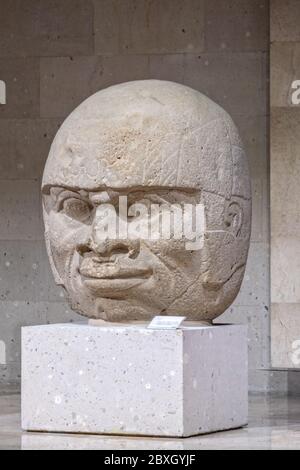 Colossal Olmec en pierre, rendez-vous au musée d'anthropologie du centre historique de Xalapa, Veracruz, Mexique. La civilisation Olmec était la plus ancienne civilisation méso-américaine connue, datant approximativement de 1500 BCE à environ 400 BCE. Banque D'Images