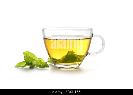 tisane à base de feuilles de menthe poivrée fraîche dans une tasse de verre isolée sur fond blanc, espace de copie Banque D'Images