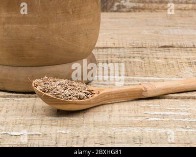 Graines de fenouil pour la plantation dans le sol dans une cuillère en bois sur fond en bois. Banque D'Images