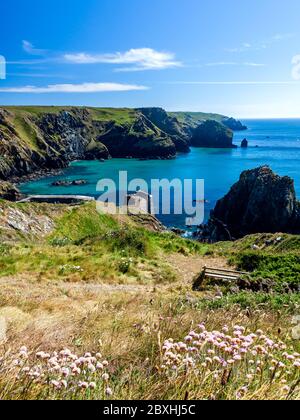 Vue sur Mullion Cove lors d'une belle journée d'été ensoleillée. Cornwall Angleterre Royaume-Uni Europe Banque D'Images
