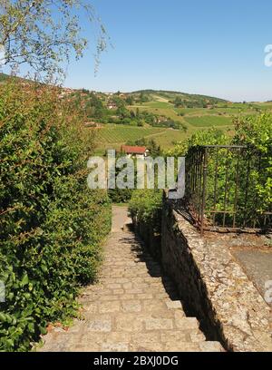 France, Rhône, Val d'Oignt, village d'Oignt, restauré, XII c., donjon, boutiques d'art, artisanat, animaux de ciment, colline, Banque D'Images