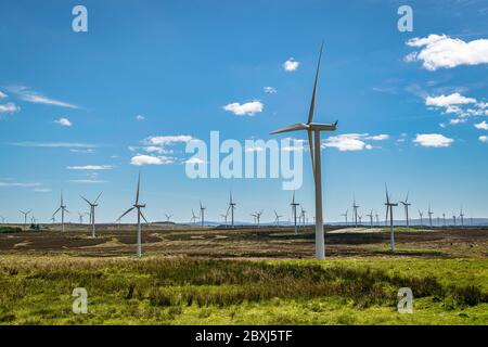 Éoliennes sur le parc éolien de Whitelee, Eaglesham Moor, Écosse, par une journée ensoleillée Banque D'Images