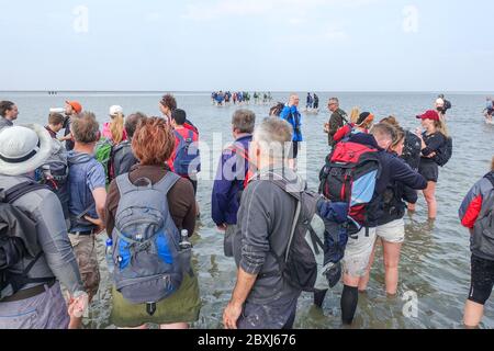 Randonnée à terre (Wadloopen, Wattwandern, Vadehavsvandring) entre les pays-Bas continentaux (Frise) et l'île d'Ameland Banque D'Images