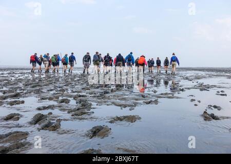 Randonnée à terre (Wadloopen, Wattwandern, Vadehavsvandring) entre les pays-Bas continentaux (Frise) et l'île d'Ameland Banque D'Images