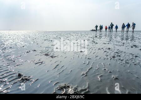 Randonnée à terre (Wadloopen, Wattwandern, Vadehavsvandring) entre les pays-Bas continentaux (Frise) et l'île d'Ameland Banque D'Images