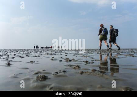 Randonnée à terre (Wadloopen, Wattwandern, Vadehavsvandring) entre les pays-Bas continentaux (Frise) et l'île d'Ameland Banque D'Images