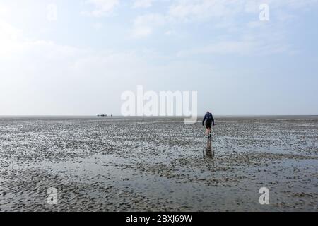 Randonnée à terre (Wadloopen, Wattwandern, Vadehavsvandring) entre les pays-Bas continentaux (Frise) et l'île d'Ameland Banque D'Images