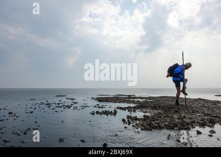 Randonnée à terre (Wadloopen, Wattwandern, Vadehavsvandring) entre les pays-Bas continentaux (Frise) et l'île d'Ameland Banque D'Images