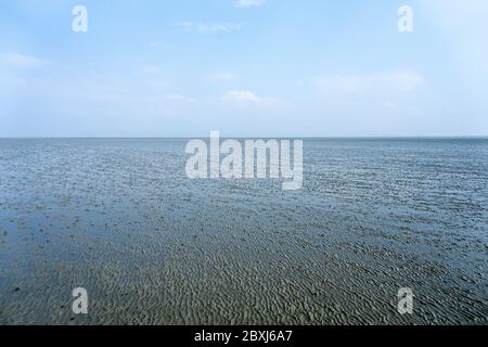 Randonnée à terre (Wadloopen, Wattwandern, Vadehavsvandring) entre les pays-Bas continentaux (Frise) et l'île d'Ameland Banque D'Images