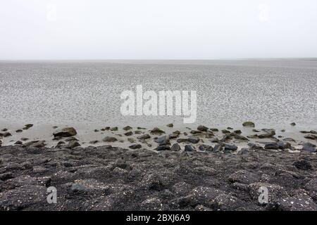 Randonnée à terre (Wadloopen, Wattwandern, Vadehavsvandring) entre les pays-Bas continentaux (Frise) et l'île d'Ameland Banque D'Images