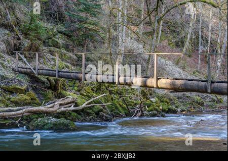 Des passerelles étroites en bois mènent le randonneur à travers l'eau mousseuse de la rivière Wutach. Banque D'Images