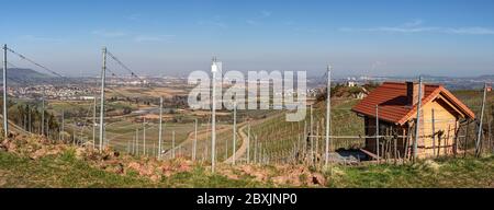 Dans les hauteurs de la vallée de Rems au-dessus de la ville de Weinsstadt au milieu des vignobles, vous avez une vue fantastique sur la vallée inférieure de Rems à la ci Banque D'Images