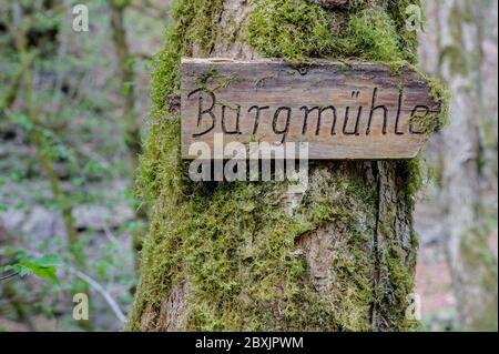 Panneau sur un arbre avec l'inscription « Burgmühle » Banque D'Images