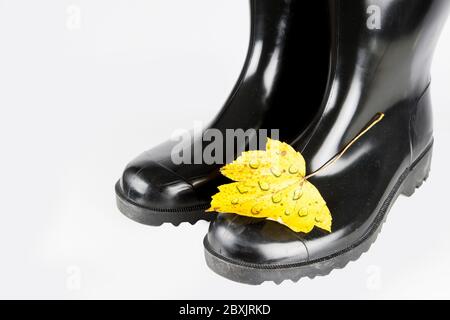 L'automne est l'heure des bottes en caoutchouc. Une feuille d'automne jaune décolorée avec des gouttes d'eau sur un boott en caoutchouc noir devant un fond blanc. Banque D'Images