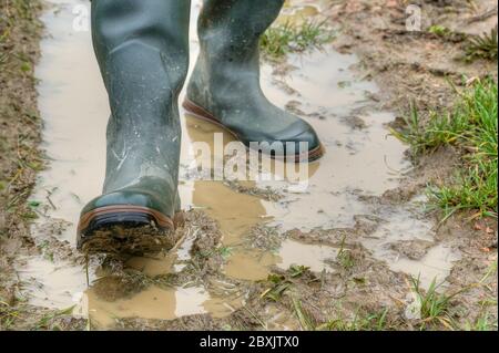 Avec des bottes en caoutchouc à travers la boue. L'agriculteur va avec ses bottes en caoutchouc dans la voie boueuse de son tracteur à travers le champ. Vue avant. Banque D'Images