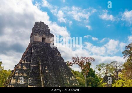 Temple 1 ou Temple de la Grande pyramide Maya Jaguar à Tikal, Guatemala. Banque D'Images
