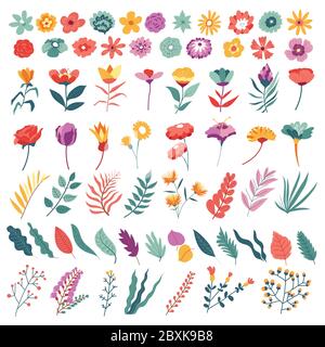 Ensemble fleurs et feuilles, collection botanique en fleur Illustration de Vecteur