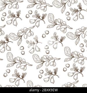 Plante d'argousier, feuillage et baies de hippophae sans couture Illustration de Vecteur