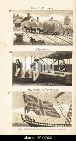 Commerce en Angleterre de Régence : récolte de blé, huîtres et bonntine pour drapeaux. Les agriculteurs récoltant du blé dans l'Essex 25, la femme de pêche vend des huîtres d'une étable de Colchester 26 et des tissus de laine de lapin ou de banderole pour drapeaux fabriqués à Sudbury 27. Gravure de bois tirée des scènes du révérend Isaac Taylor de la richesse britannique, dans le secteur de la production, de la fabrication et du commerce, John Harris, Londres, 1823. Isaac Taylor était un écrivain, artiste, graveur et inventeur anglais de 1787 à 1865. Banque D'Images