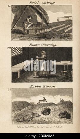 Commerce en Angleterre de Regency. Fabrication de briques, beurre de beurre et de lapin warren. Brickmaker avec des briques, hod, four et brouette à Woolpit 31, femme qui fait du beurre dans une urne à Bury Dairy 32, et lapins qui se bradent dans des verriers à Thetford 33. Gravure de bois tirée des scènes du révérend Isaac Taylor de la richesse britannique, dans le secteur de la production, de la fabrication et du commerce, John Harris, Londres, 1823. Isaac Taylor était un écrivain, artiste, graveur et inventeur anglais de 1787 à 1865. Banque D'Images