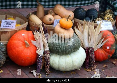 Gourdes colorées et maïs indien à vendre pour les décorations saisonnières de vacances d'automne. Contexte agricole. Concept de récolte. Banque D'Images