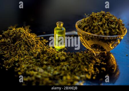Huile essentielle extraite de Kasuri Methi ou feuilles de fenugrec séchées dans une petite bouteille avec des feuilles de fenugrec séchées brutes. Banque D'Images