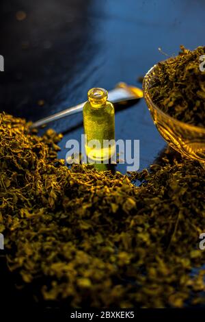Huile essentielle extraite de Kasuri Methi ou feuilles de fenugrec séchées dans une petite bouteille avec des feuilles de fenugrec séchées brutes. Banque D'Images