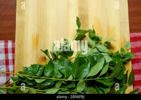 Bouquet de feuilles de curry indien fraîches / feuille de curry sur fond de bois Banque D'Images