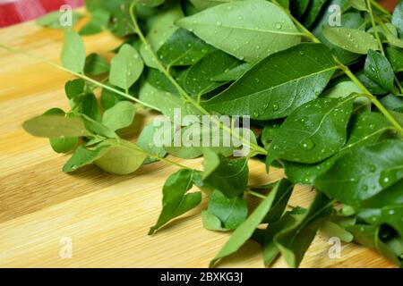 Bouquet de feuilles de curry indien fraîches / feuille de curry sur fond de bois Banque D'Images