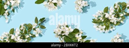 Motif floral pomme. Arrière-plan d'été lumineux Banque D'Images