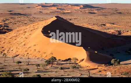 Vue aérienne de la Dune 45, une dune de sable bien connu situé dans la région de Sossusvlei dans le désert du Namib Namib-Naukluft National Park, Namibie Banque D'Images