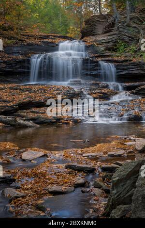 Les feuilles d'automne les roches entourant une cascade dans Ricketts Glen State Park en Pennsylvanie Banque D'Images